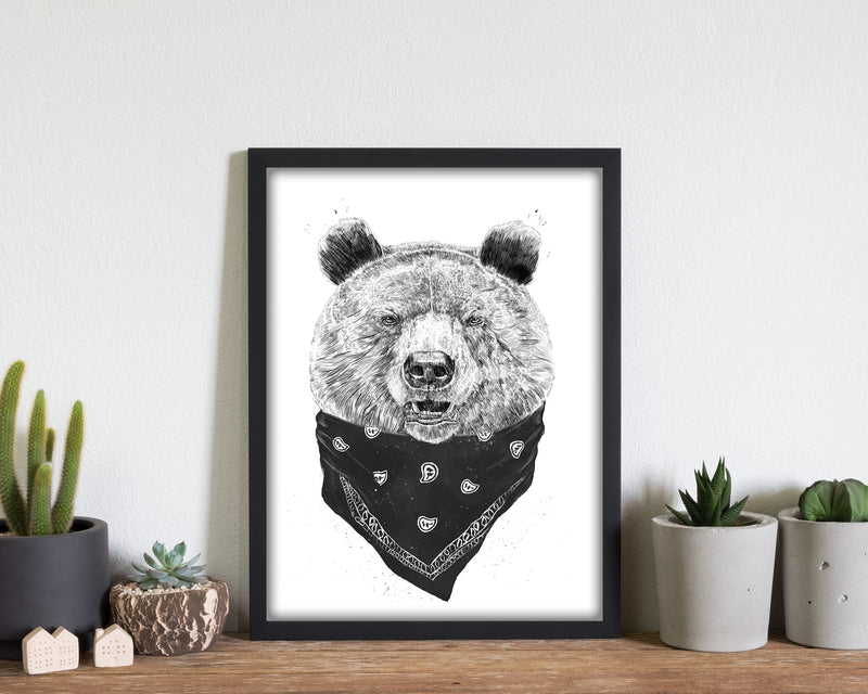 Wild Bear Animal Art Print by Balaz Solti