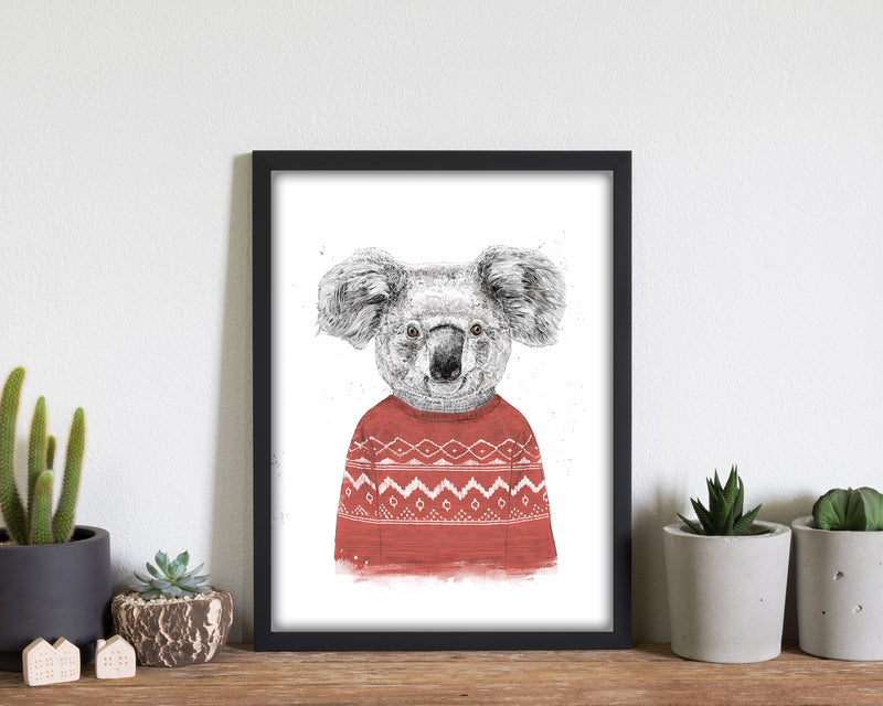 Winter Koala Red Animal Art Print by Balaz Solti