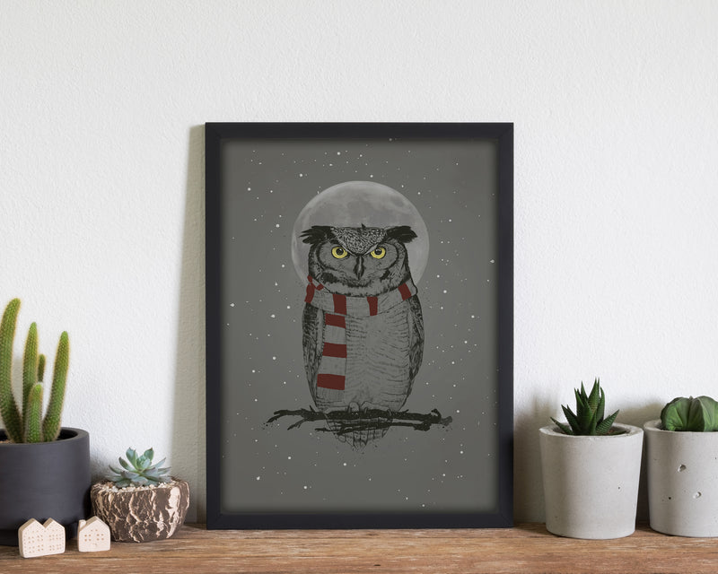 Winter Owl Animal Art Print by Balaz Solti