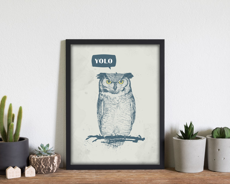 Yolo Owl Animal Art Print by Balaz Solti