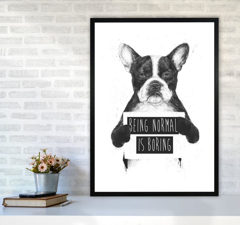 Being Normal Is Boring Animal Art Print by Balaz Solti A1 White Frame