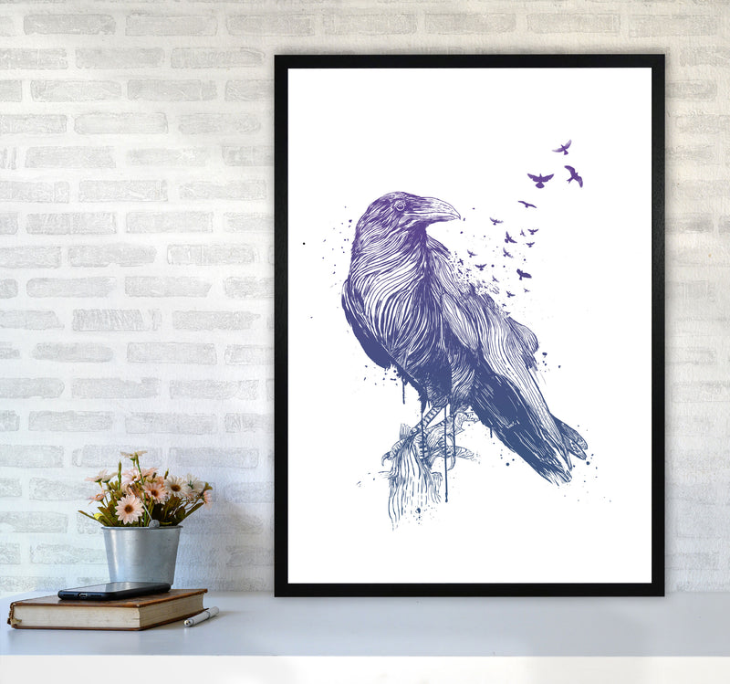 Born To Be Free Raven Animal Art Print by Balaz Solti A1 White Frame