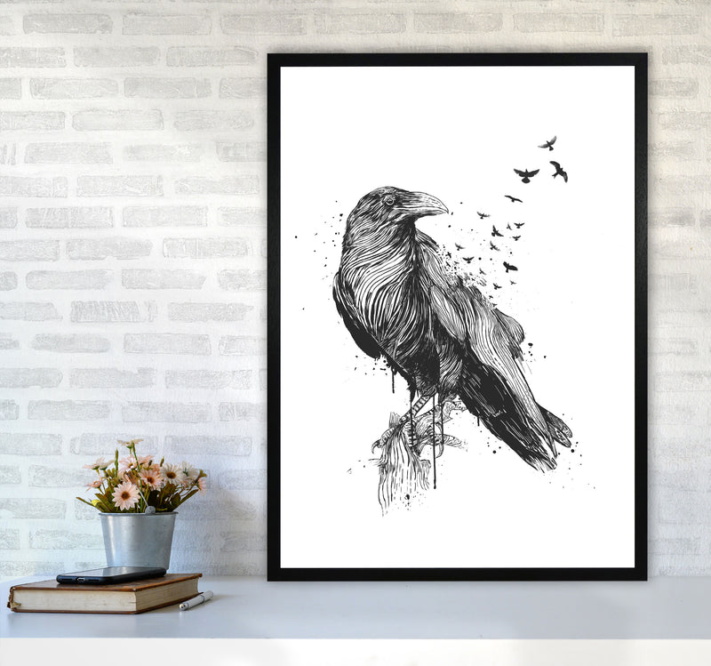 Born To Be Free Raven B&W Animal Art Print by Balaz Solti A1 White Frame