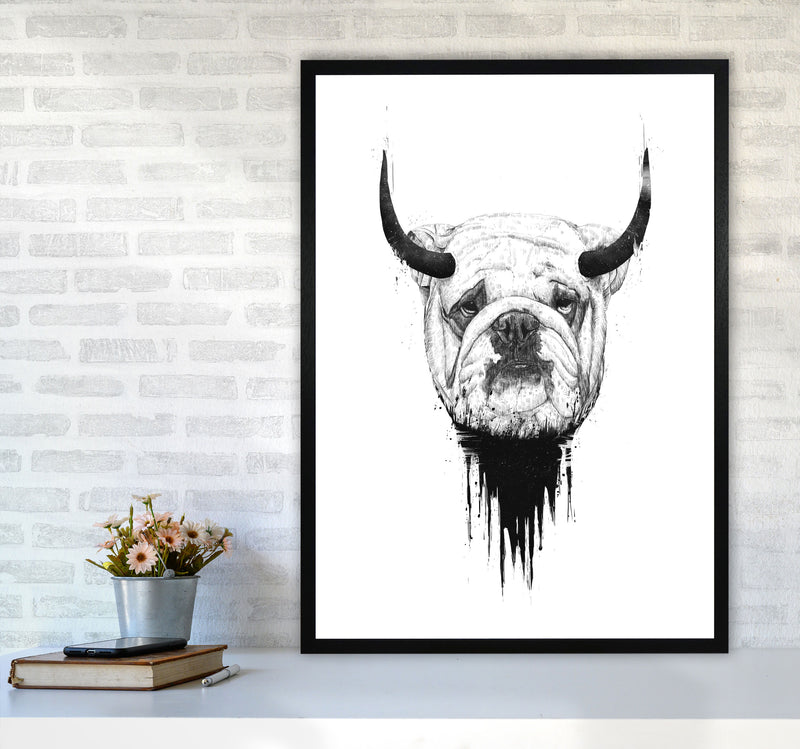 Bulldog Horns Animal Art Print by Balaz Solti A1 White Frame