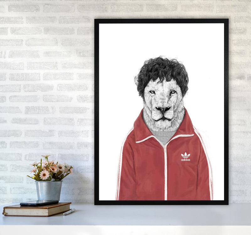 Chas Lion Animal Art Print by Balaz Solti A1 White Frame