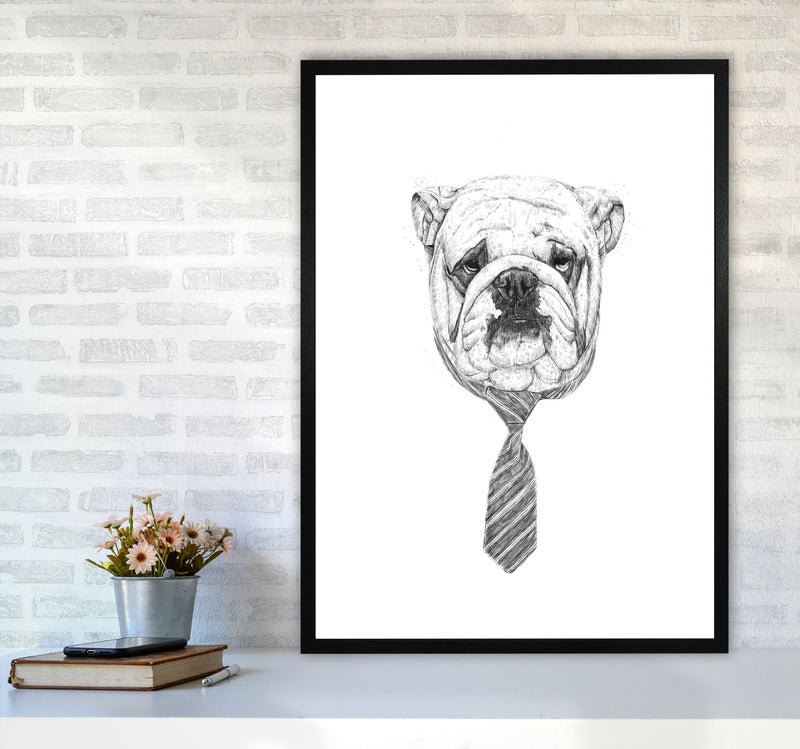Cool Bulldog Animal Art Print by Balaz Solti A1 White Frame
