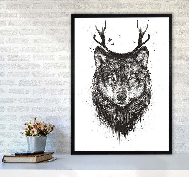Deer Wolf B&W Animal Art Print by Balaz Solti A1 White Frame