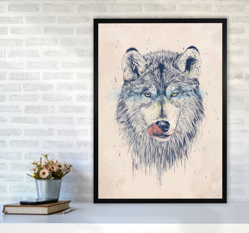 Dinner Time Wolf Animal Art Print by Balaz Solti A1 White Frame