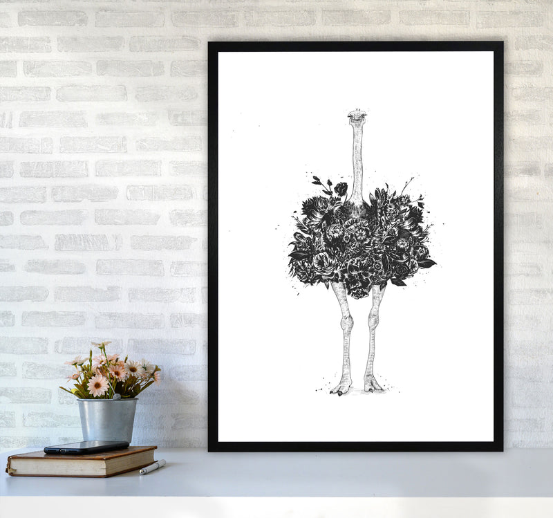 Floral Ostrich Animal Art Print by Balaz Solti A1 White Frame