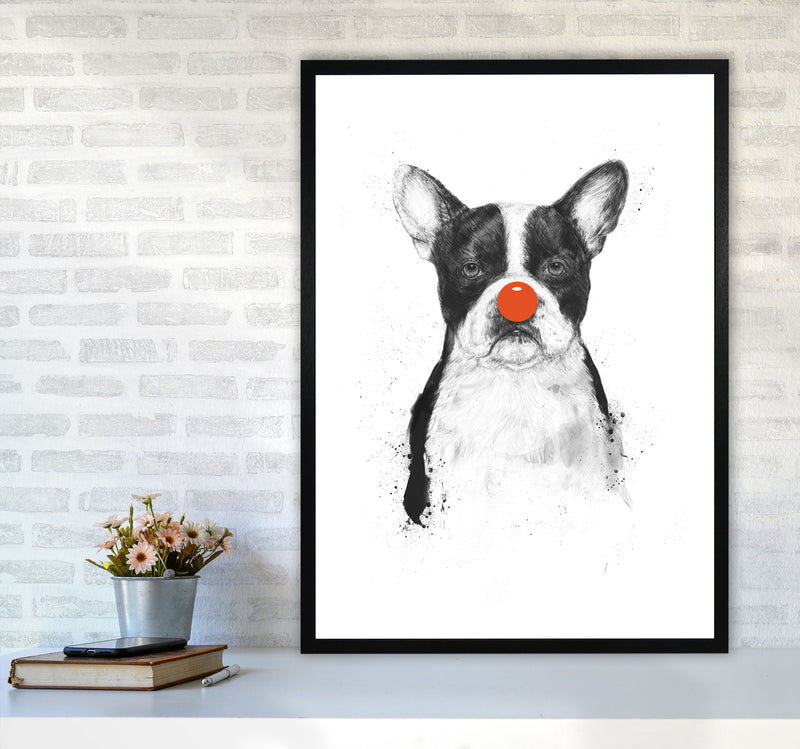 I'm Not Your Clown Bulldog Animal Art Print by Balaz Solti A1 White Frame