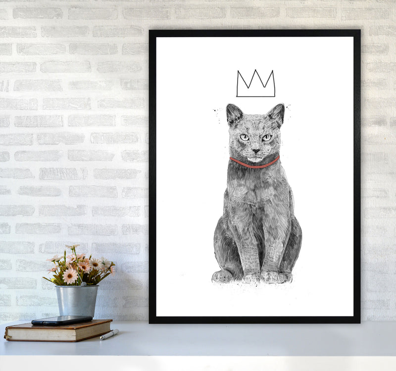 King Of Everything Animal Art Print by Balaz Solti A1 White Frame