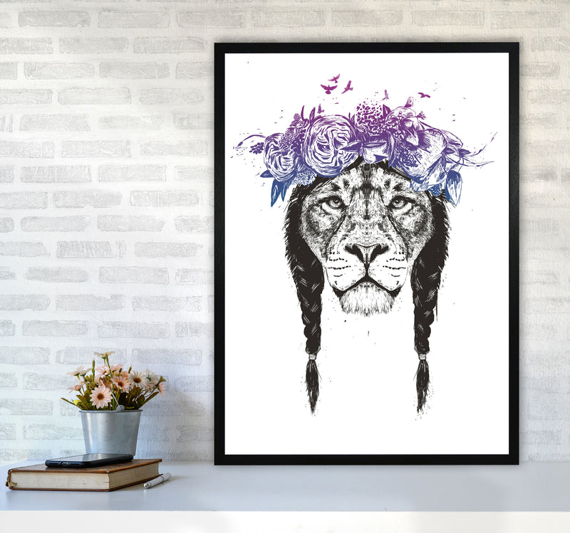 King Of Lions Animal Art Print by Balaz Solti A1 White Frame