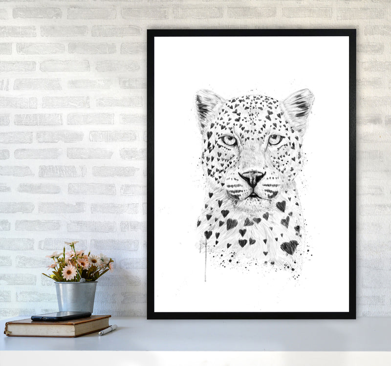 Lovely Leopard Animal Art Print by Balaz Solti A1 White Frame