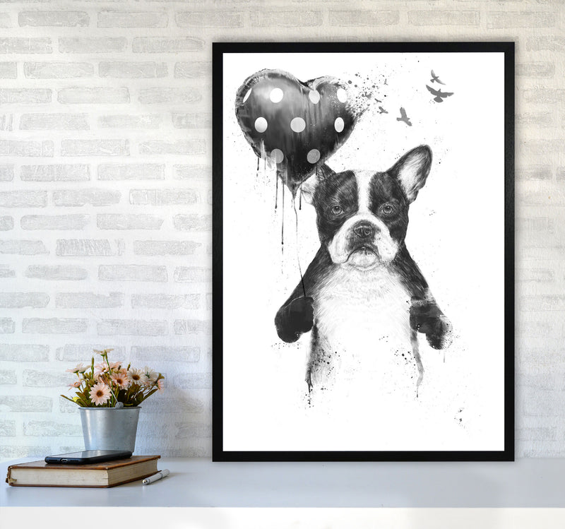 My Heart Goes Boom Bulldog Animal Art Print by Balaz Solti A1 White Frame