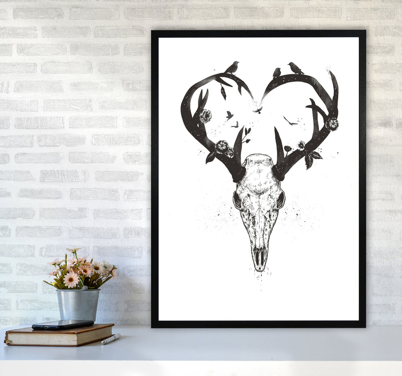 Never-ending Love Deer Skull B&W Animal Art Print by Balaz Solti A1 White Frame
