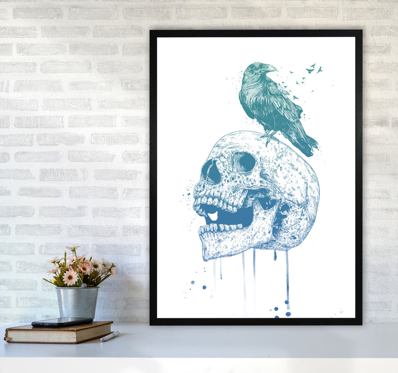 Skull & Raven Colour Animal Art Print by Balaz Solti A1 White Frame