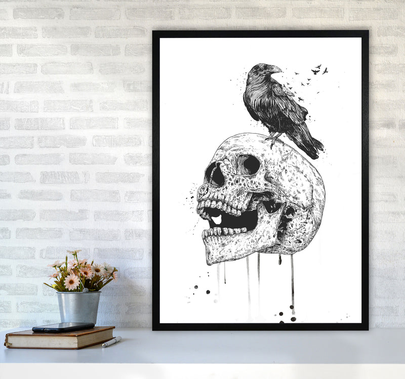 Skull & Raven B&W Animal Art Print by Balaz Solti A1 White Frame