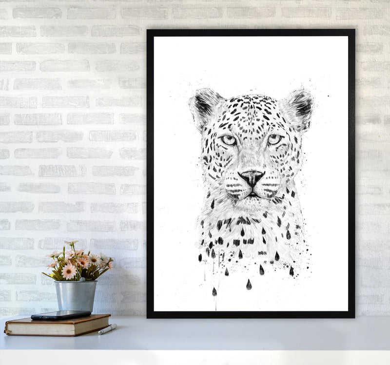 Raining Again Cheetah Animal Art Print by Balaz Solti A1 White Frame