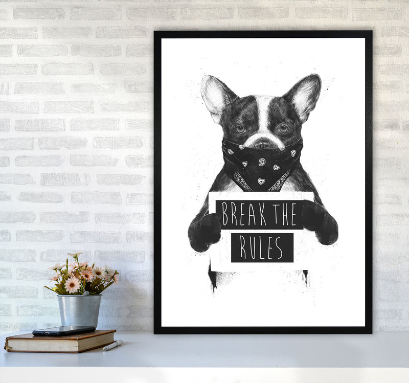 Rebel Bulldog Animal Art Print by Balaz Solti A1 White Frame