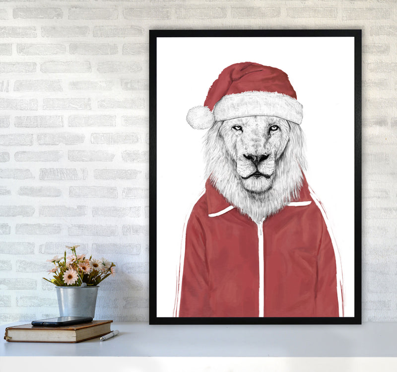 Santa Lion Animal Art Print by Balaz Solti A1 White Frame