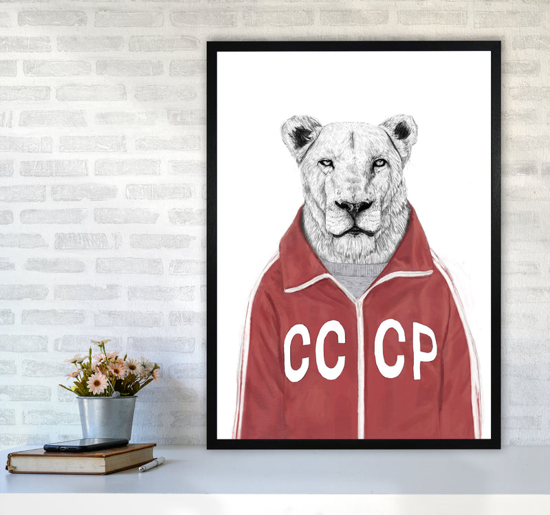Soviet Lion Animal Art Print by Balaz Solti A1 White Frame