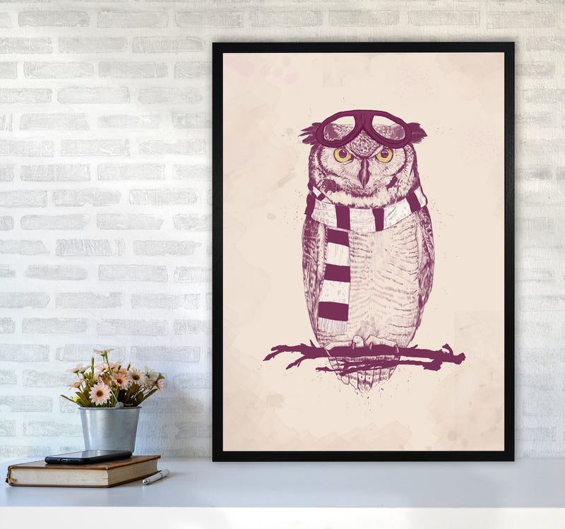 The Aviator Owl Animal Art Print by Balaz Solti A1 White Frame