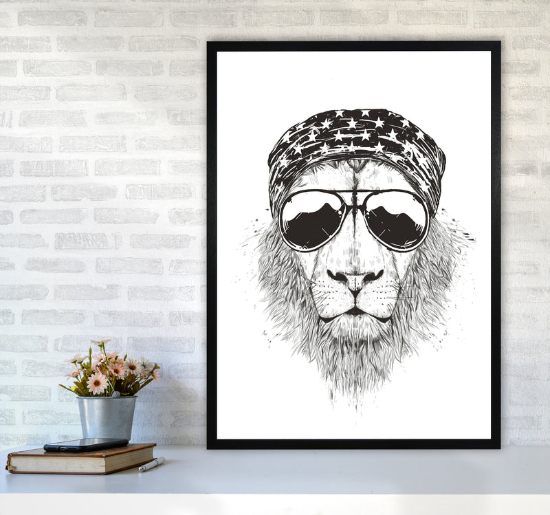 Wild Lion B&W Animal Art Print by Balaz Solti A1 White Frame