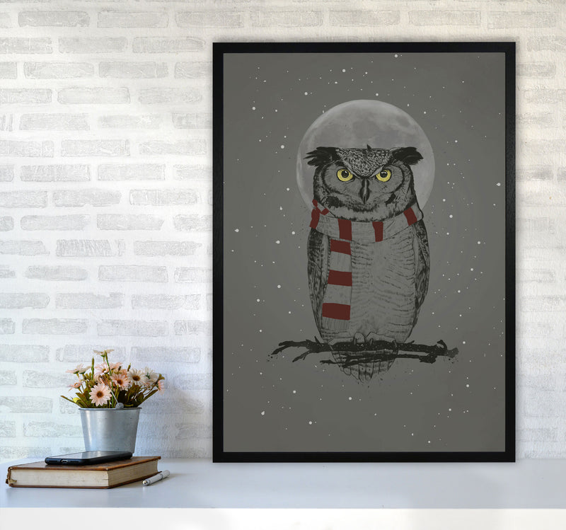 Winter Owl Animal Art Print by Balaz Solti A1 White Frame