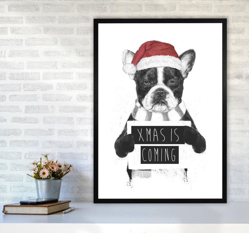 Xmas Is Coming Animal Art Print by Balaz Solti A1 White Frame