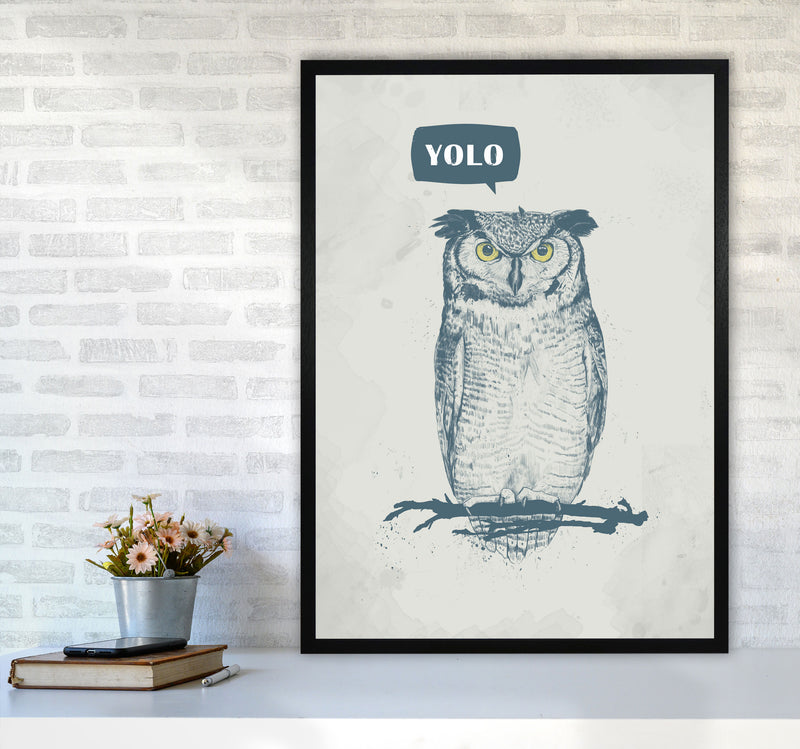 Yolo Owl Animal Art Print by Balaz Solti A1 White Frame