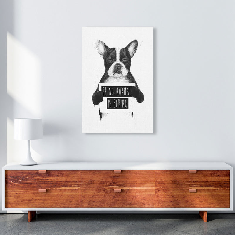 Being Normal Is Boring Animal Art Print by Balaz Solti A1 Canvas