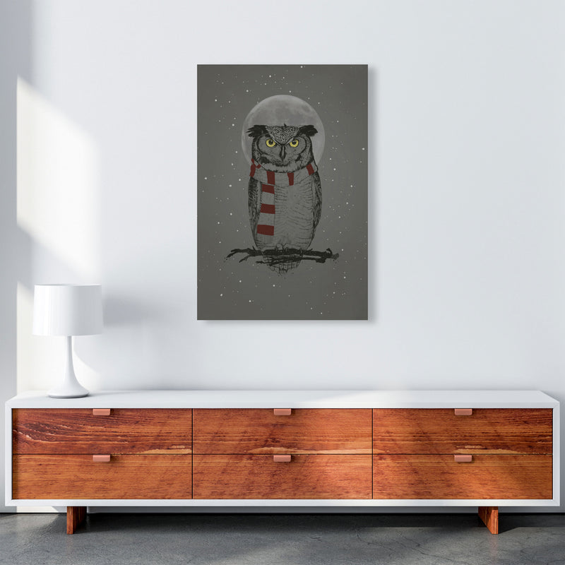 Winter Owl Animal Art Print by Balaz Solti A1 Canvas