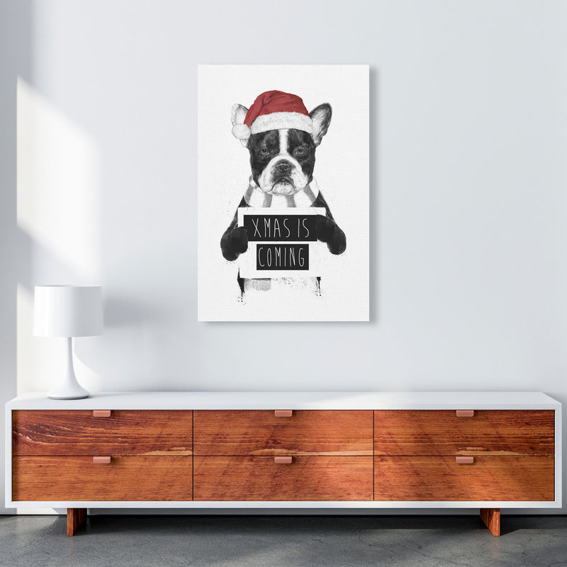 Xmas Is Coming Animal Art Print by Balaz Solti A1 Canvas