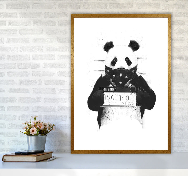 Bad Panda Animal Art Print by Balaz Solti A1 Print Only