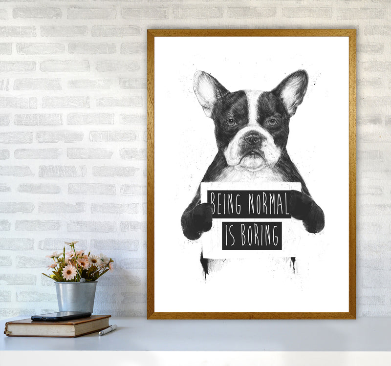 Being Normal Is Boring Animal Art Print by Balaz Solti A1 Print Only