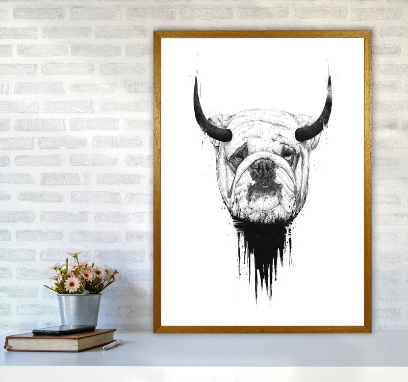 Bulldog Horns Animal Art Print by Balaz Solti A1 Print Only