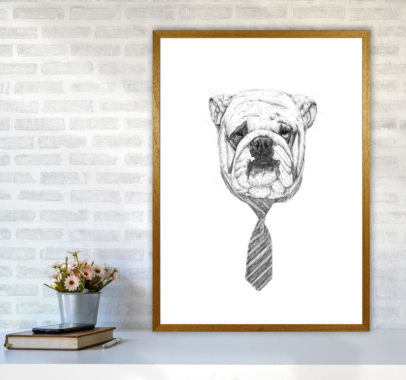 Cool Bulldog Animal Art Print by Balaz Solti A1 Print Only