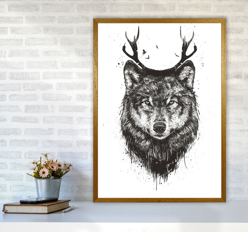 Deer Wolf B&W Animal Art Print by Balaz Solti A1 Print Only