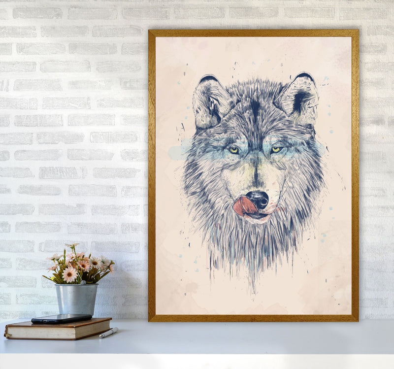 Dinner Time Wolf Animal Art Print by Balaz Solti A1 Print Only