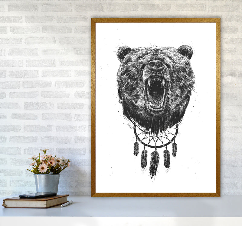 Don't Wake The Bear Animal Art Print by Balaz Solti A1 Print Only