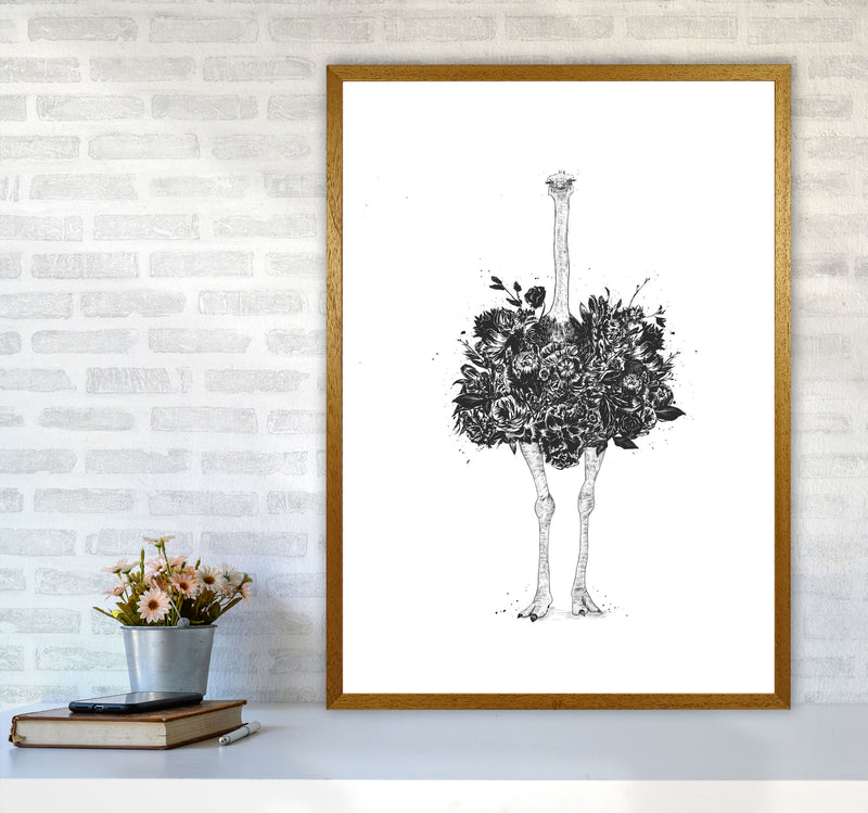 Floral Ostrich Animal Art Print by Balaz Solti A1 Print Only