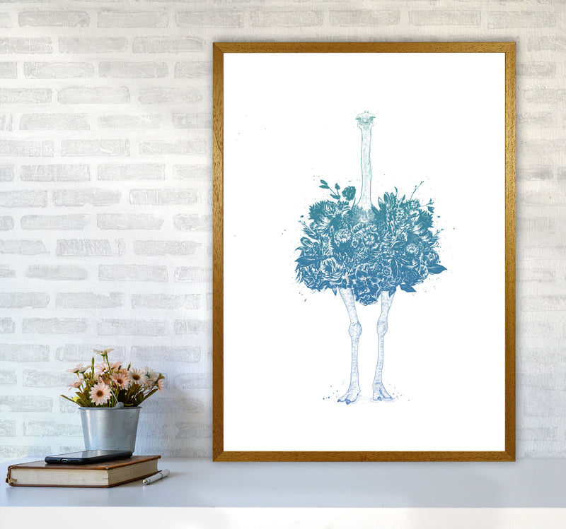 Floral Ostrich Teal Animal Art Print by Balaz Solti A1 Print Only