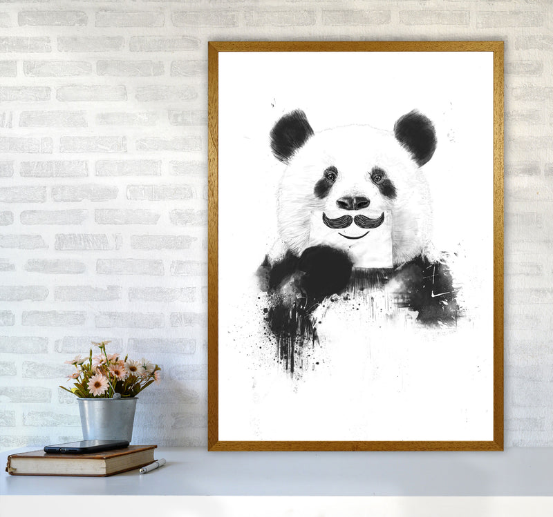 Funny Panda Animal Art Print by Balaz Solti A1 Print Only