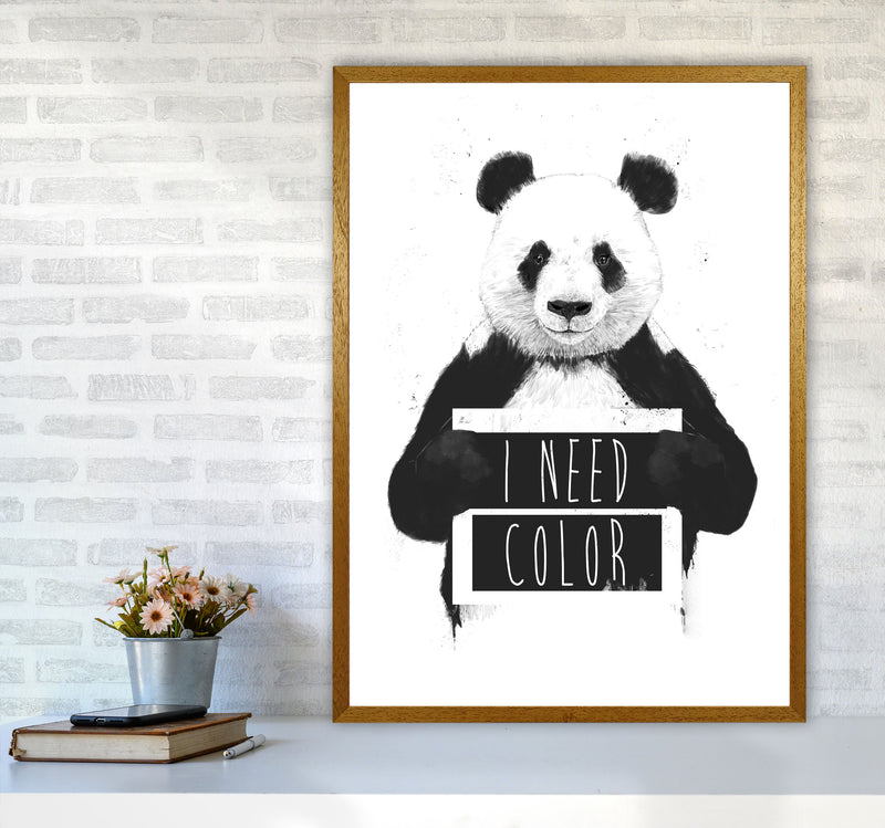 I Need Colour Panda Animal Art Print by Balaz Solti A1 Print Only