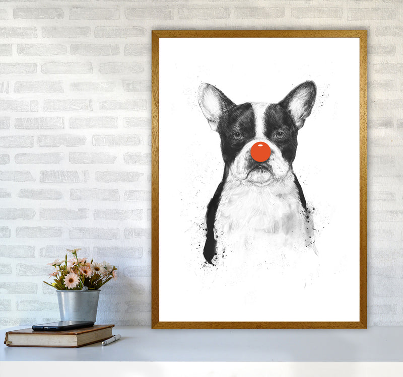 I'm Not Your Clown Bulldog Animal Art Print by Balaz Solti A1 Print Only