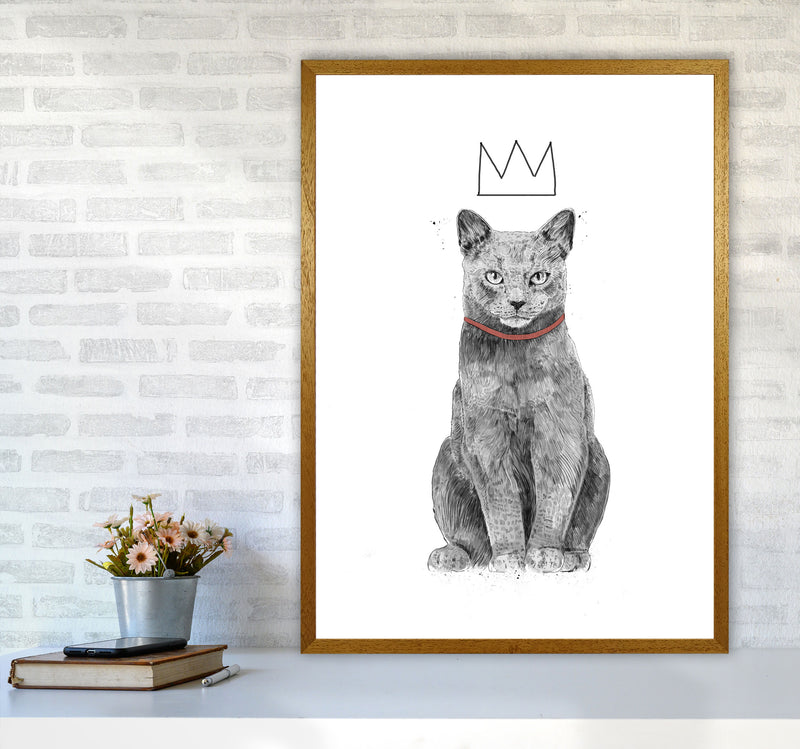 King Of Everything Animal Art Print by Balaz Solti A1 Print Only