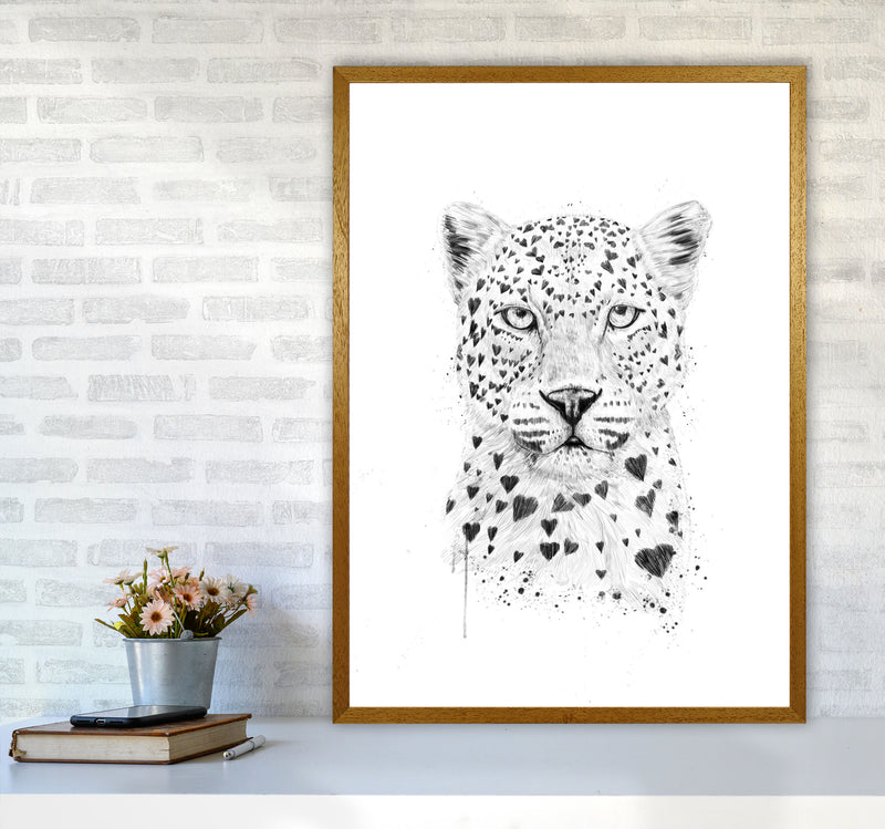 Lovely Leopard Animal Art Print by Balaz Solti A1 Print Only