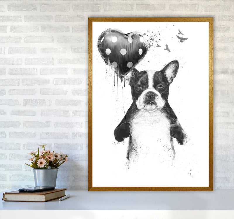 My Heart Goes Boom Bulldog Animal Art Print by Balaz Solti A1 Print Only