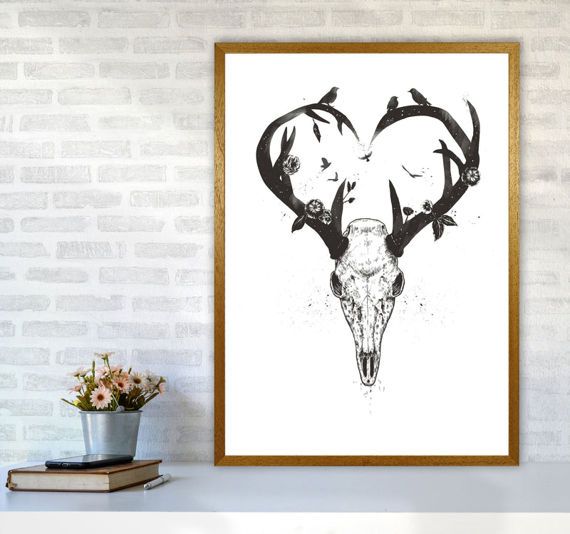 Never-ending Love Deer Skull B&W Animal Art Print by Balaz Solti A1 Print Only