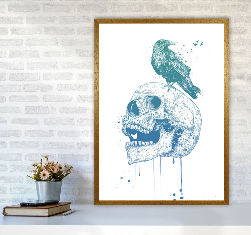 Skull & Raven Colour Animal Art Print by Balaz Solti A1 Print Only